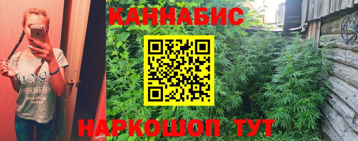Бошки Шишки SATIVA & INDICA  Вход с VPN  Отрадное  МАРИХУАНА SATIVA & INDICA  Конопля семена  Каннабис Bruce Banner 